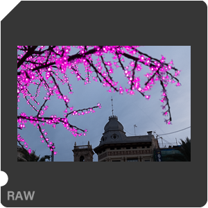 RAW sample