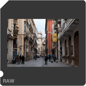 RAW sample