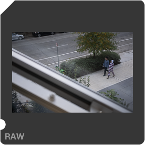 RAW sample