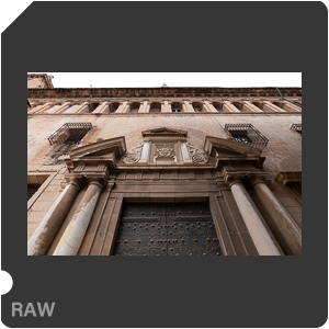 RAW sample