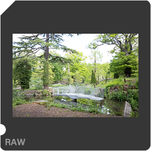RAW sample