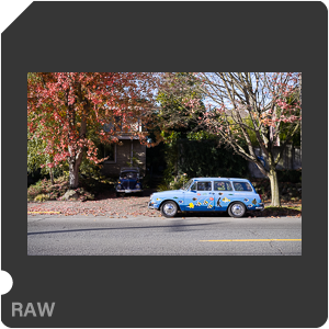 RAW sample