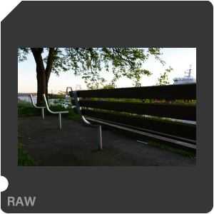 RAW sample