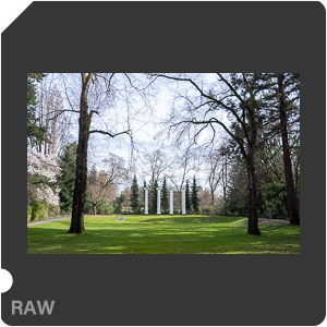 RAW sample