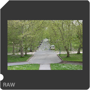RAW sample
