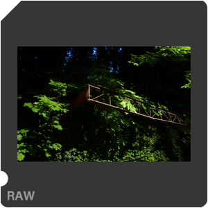 RAW sample