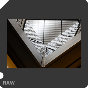 RAW sample