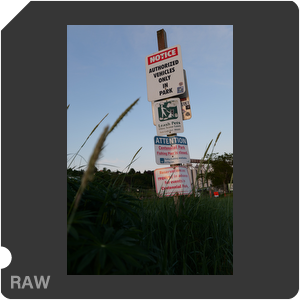RAW sample
