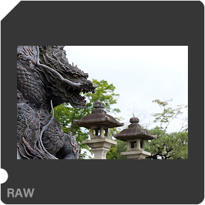 RAW sample