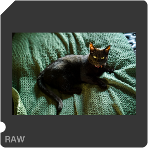 RAW sample