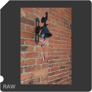 RAW sample