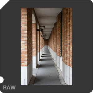 RAW sample