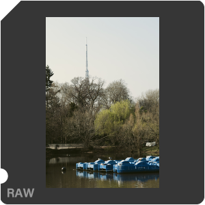 RAW sample