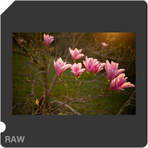 RAW sample