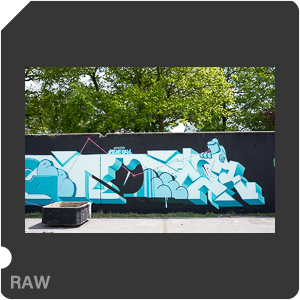 RAW sample