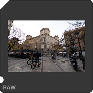 RAW sample