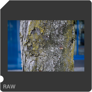 RAW sample