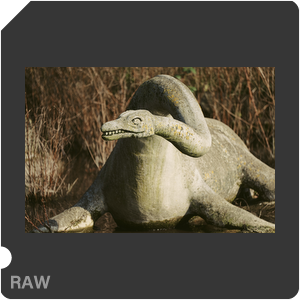 RAW sample