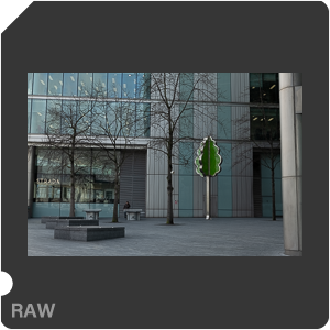 RAW sample