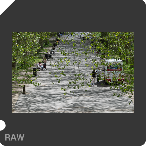 RAW sample