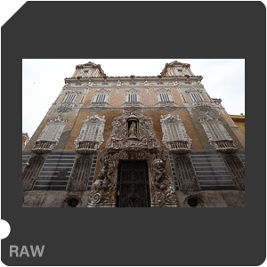 RAW sample