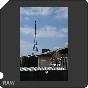 RAW sample