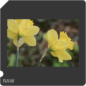 RAW sample