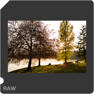 RAW sample