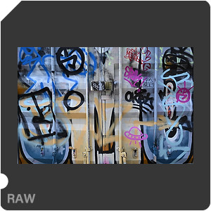 RAW sample