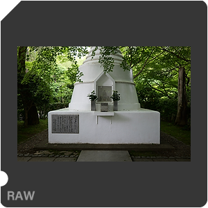 RAW sample