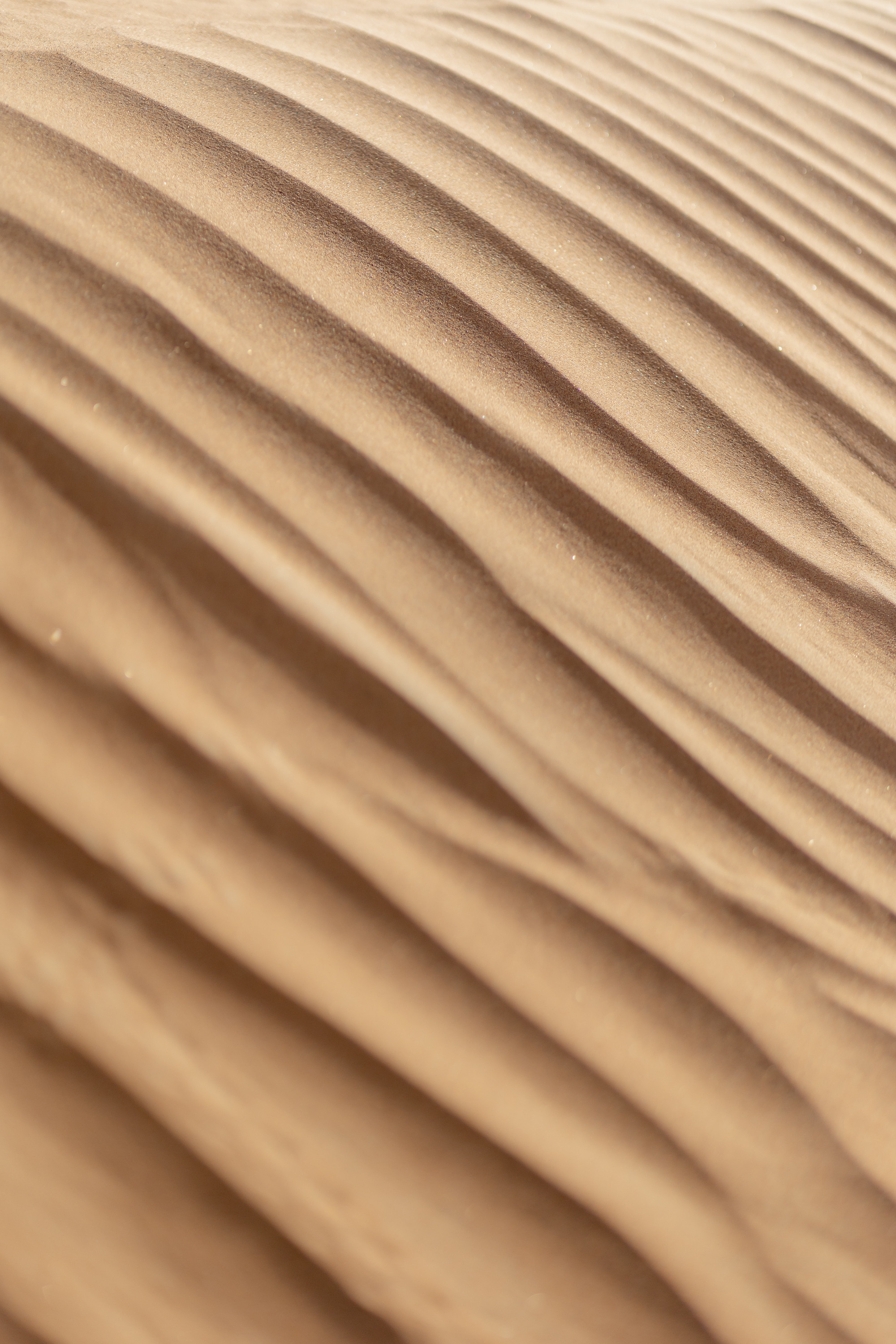 UAE. Anton Prokopenkov Wedding and Portrait Photographer