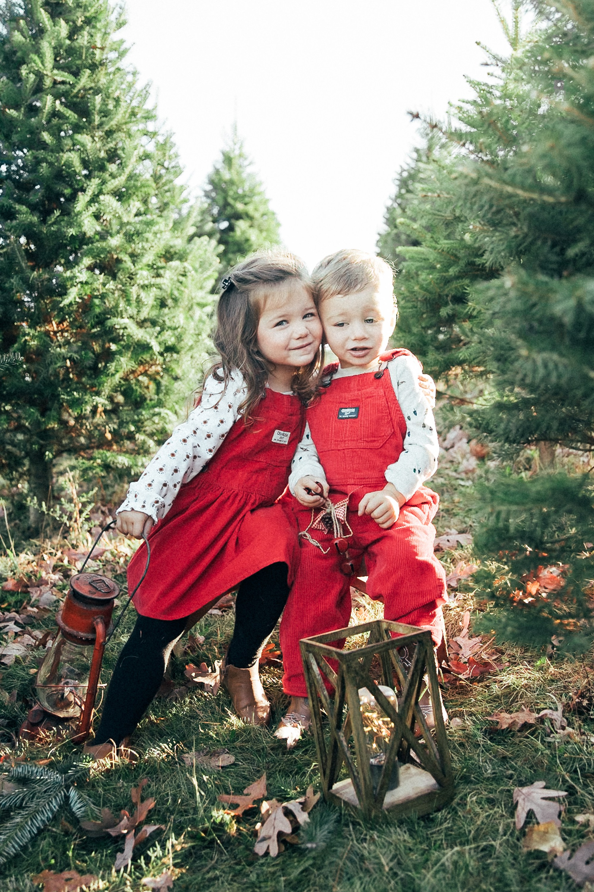 Christmas Mini. Family photographer in Eastern Pennsylvania, Inna Nairn