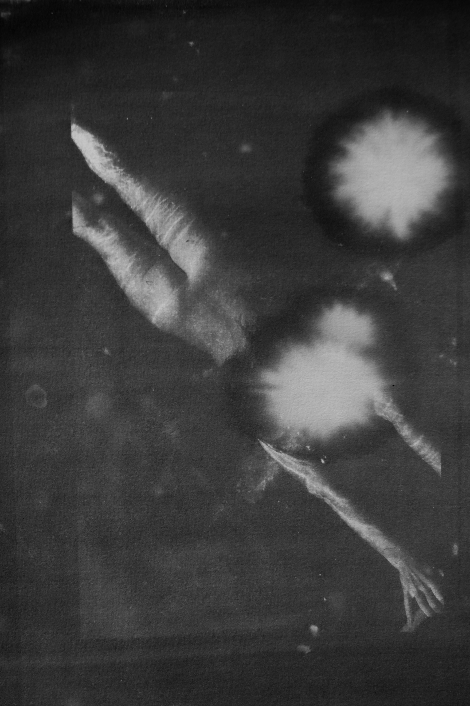 Bathing / Парение (2021-). Фотограф Ника Оксенчук