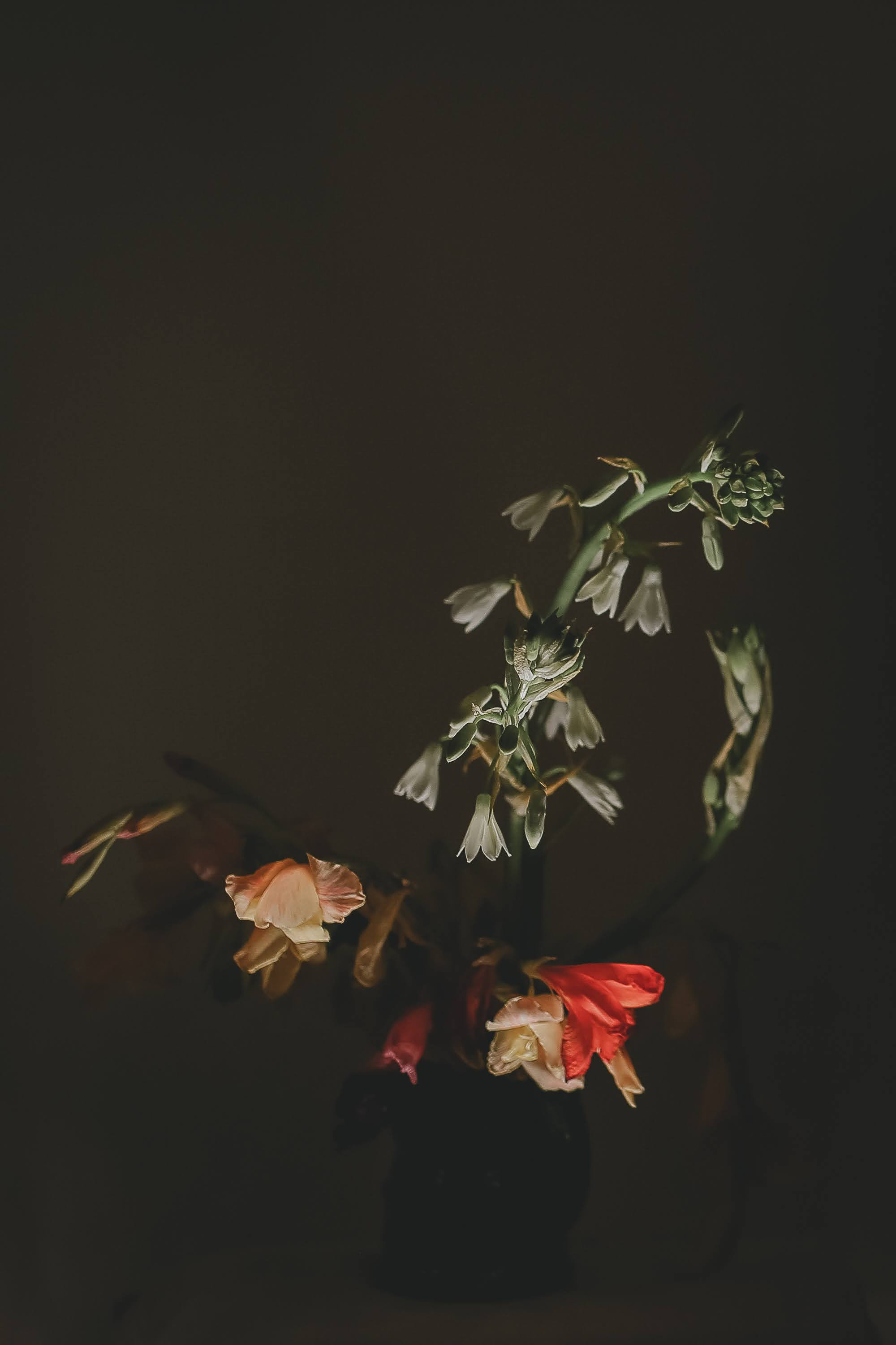 Часть III. 2020 — 2021. Наталья Чернобровкина — междисциплинарный художник