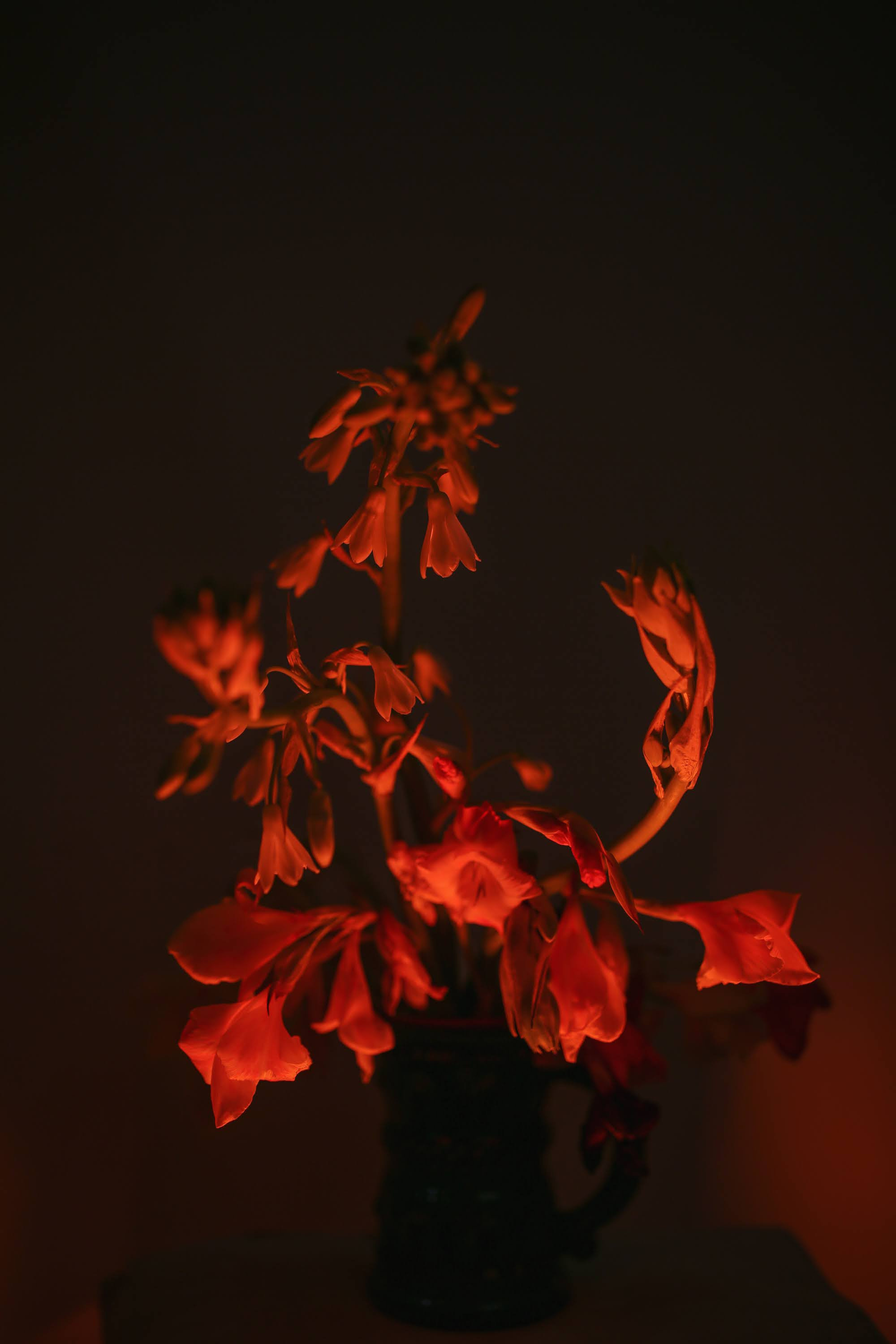 Часть III. 2020 — 2021. Наталья Чернобровкина — междисциплинарный художник