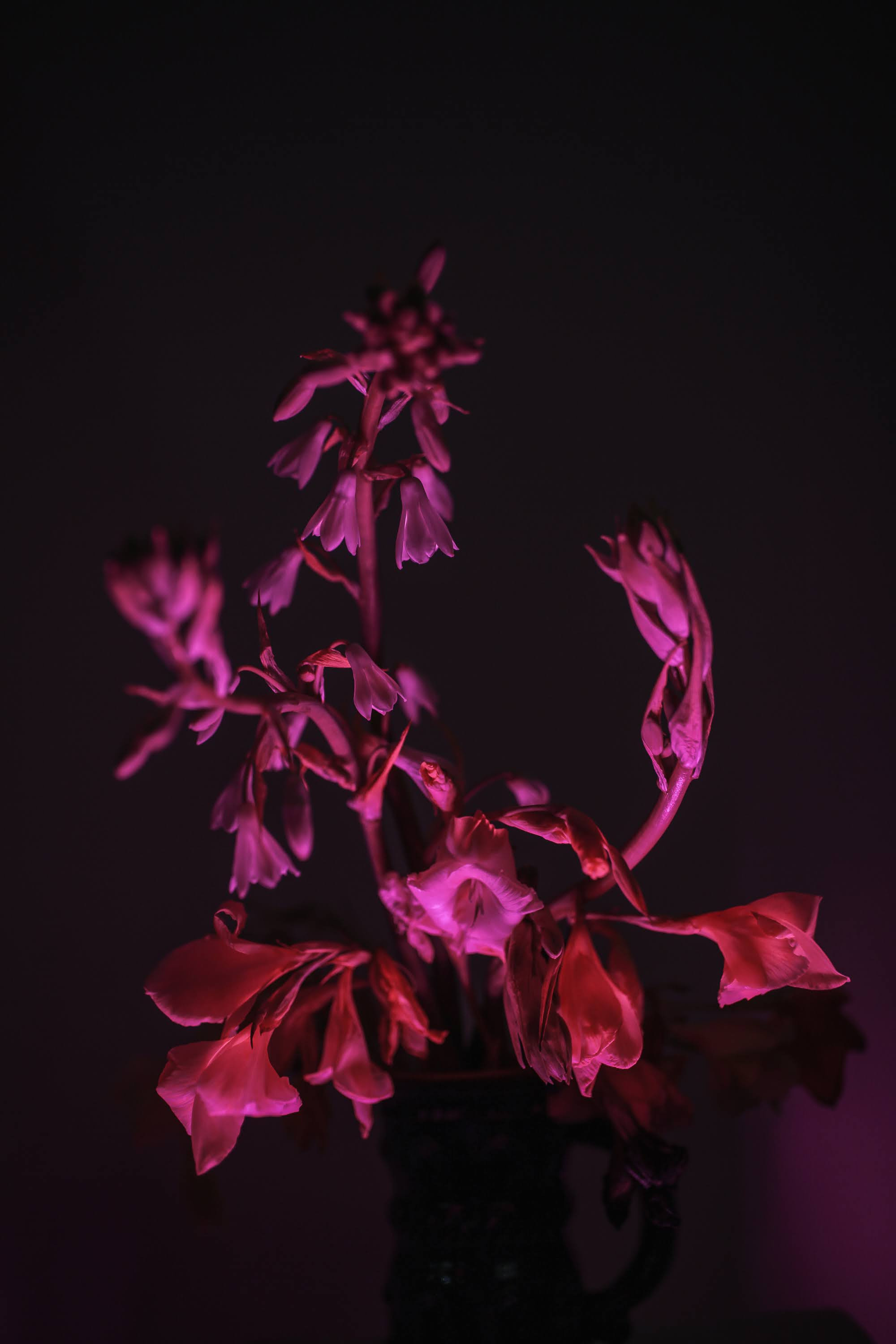 Часть III. 2020 — 2021. Наталья Чернобровкина — междисциплинарный художник