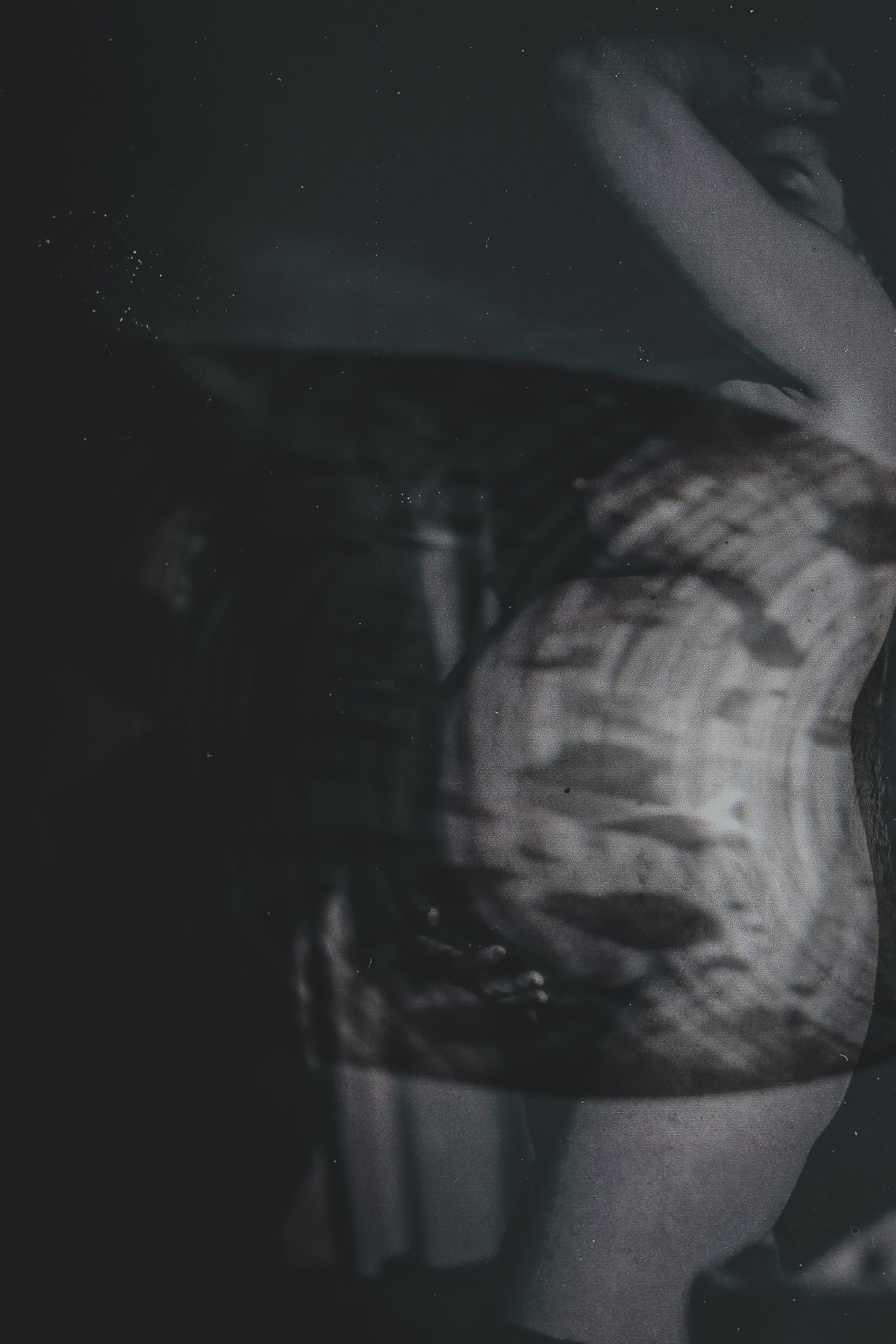 Часть II. 2019 — 2020. Наталья Чернобровкина — междисциплинарный художник