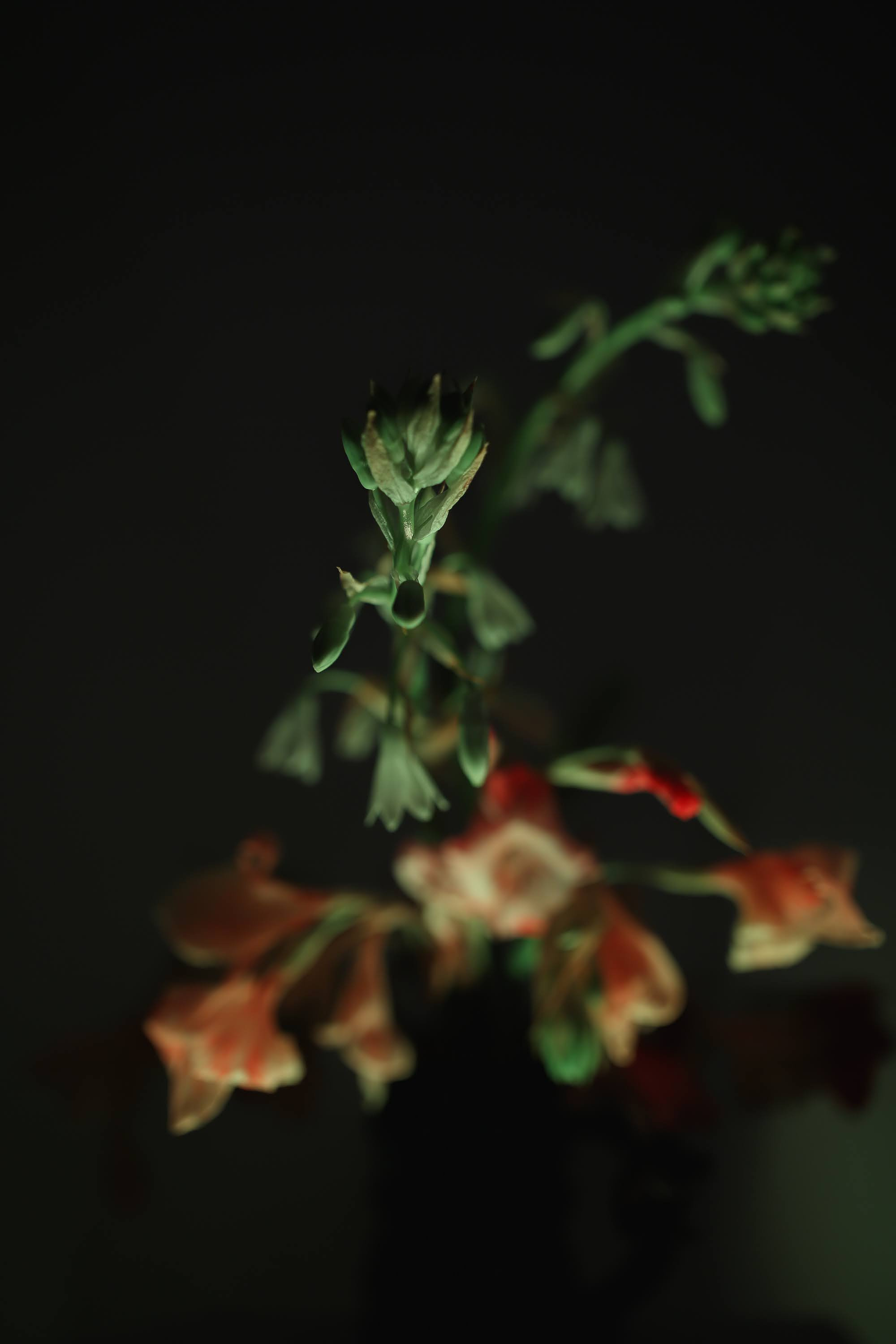 Часть III. 2020 — 2021. Наталья Чернобровкина — междисциплинарный художник