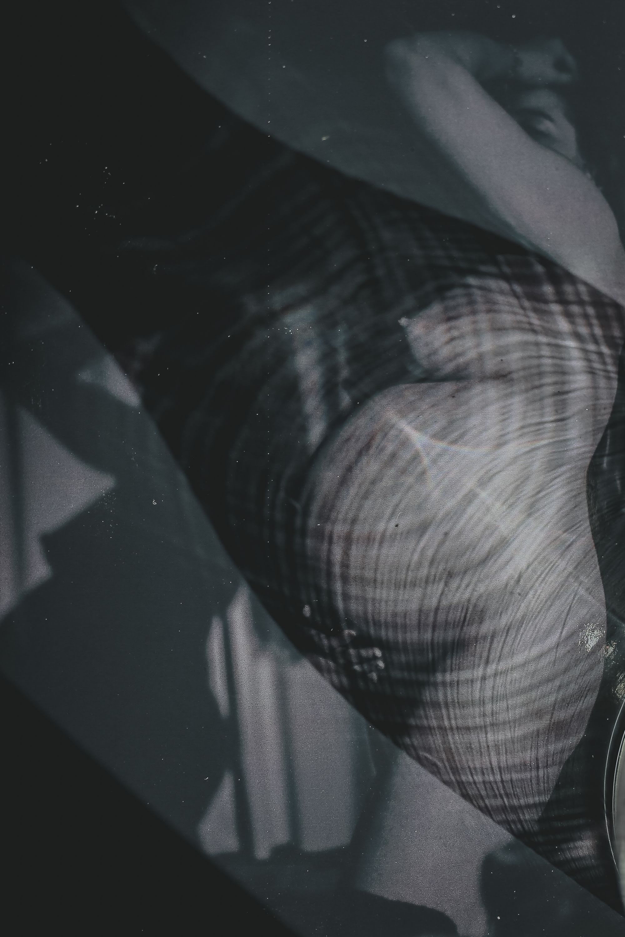 Часть II. 2019 — 2020. Наталья Чернобровкина — междисциплинарный художник