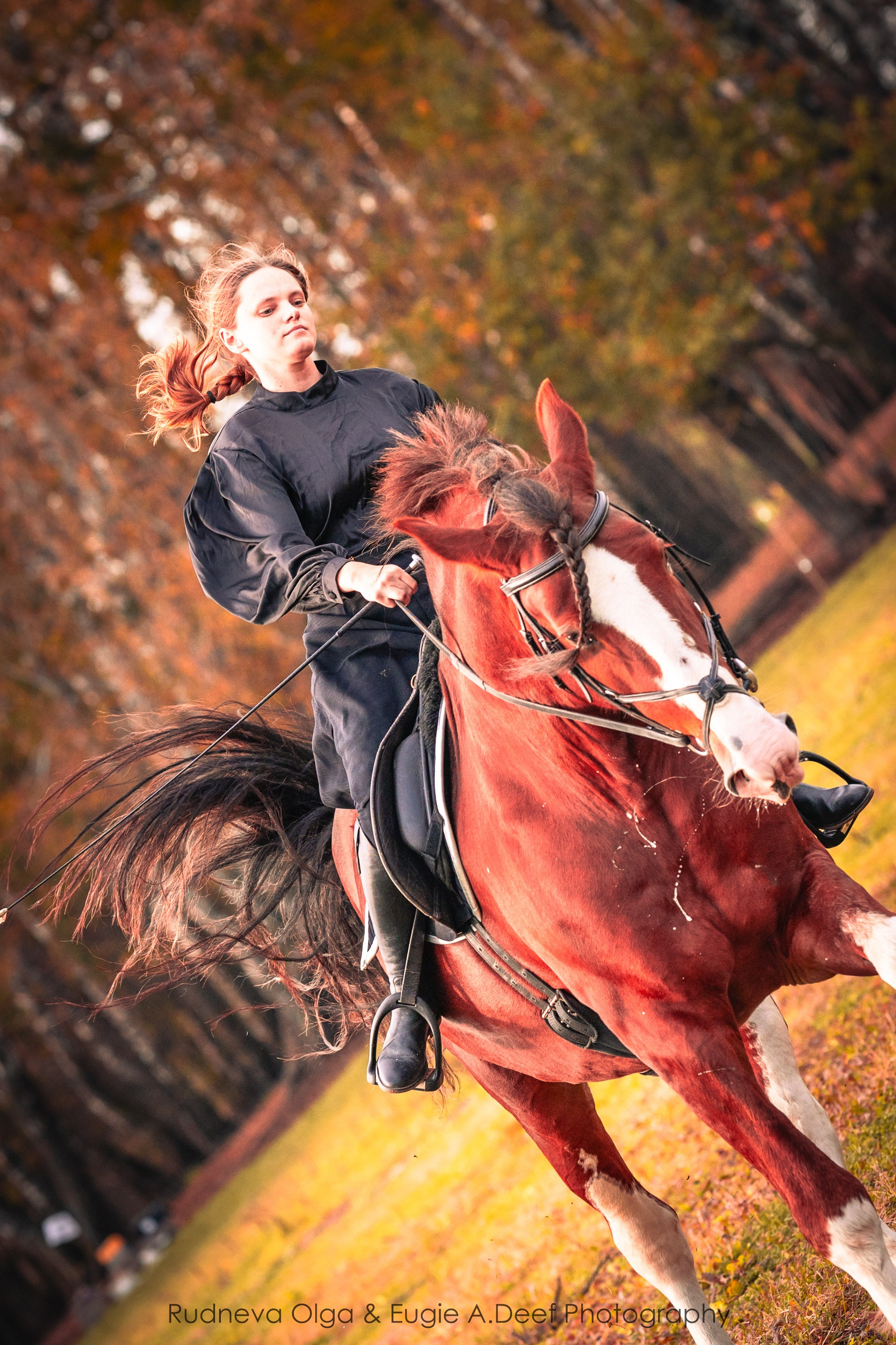 Услуги и Цены. ТУРНИРНАЯ КОННАЯ ФОТОГРАФИЯ, Руднева Ольга и Евгений Адеев