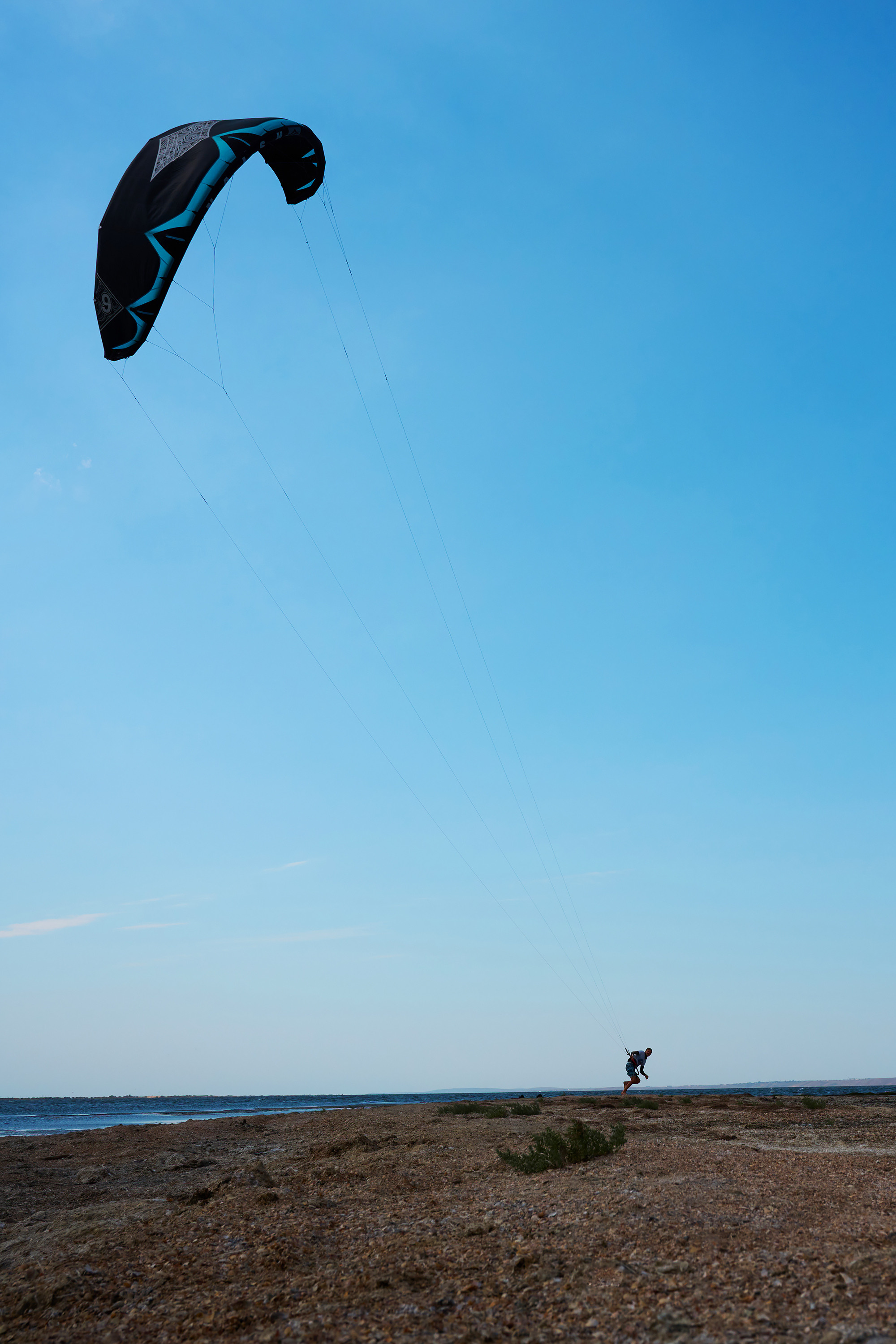 Работы, на дереве, холсте, стекле, которые можно приобрести. Яркие фото на Чёрном море