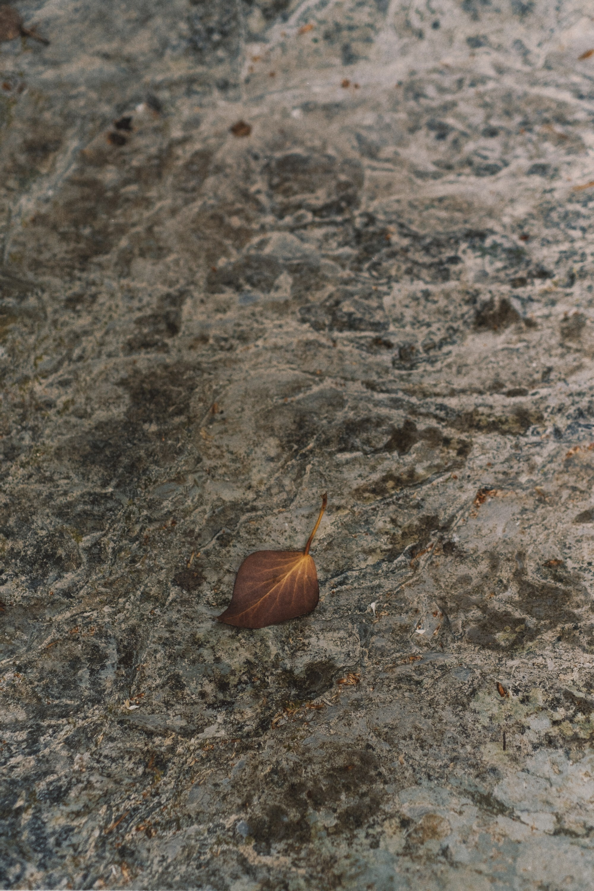 Туапсе. Персональный фотограф Москва Кислякова Алина. Фотограф в Дубае, ОАЭ