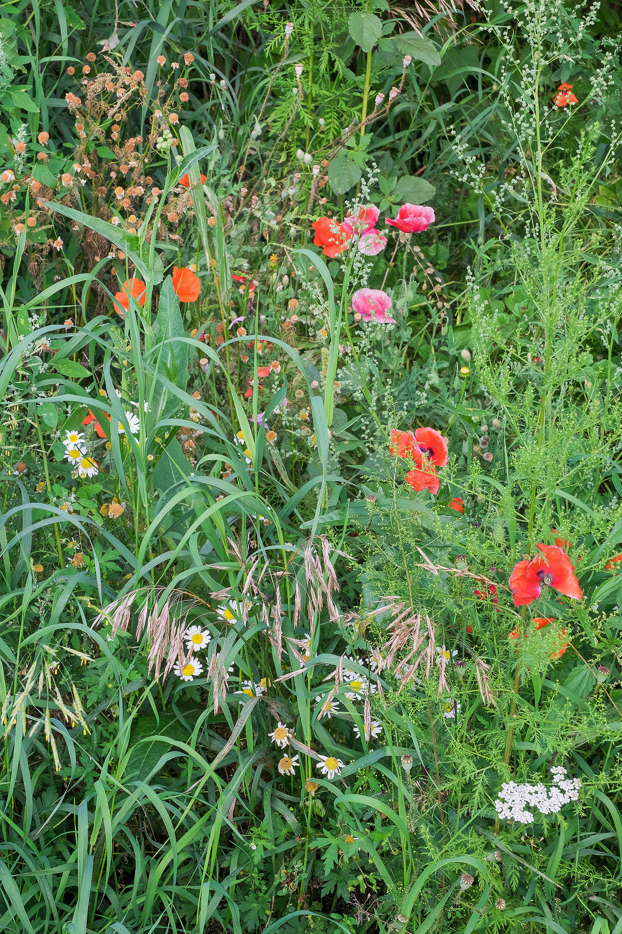 Пересобирая себя. Стас Понятовский