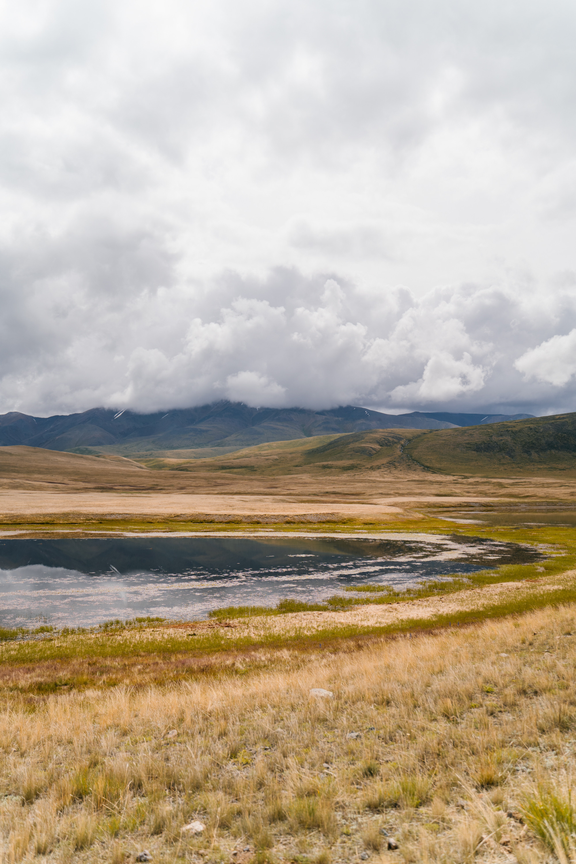 Зона покоя Укок. Фотограф в Санкт-Петербурге — Лучина Екатерина