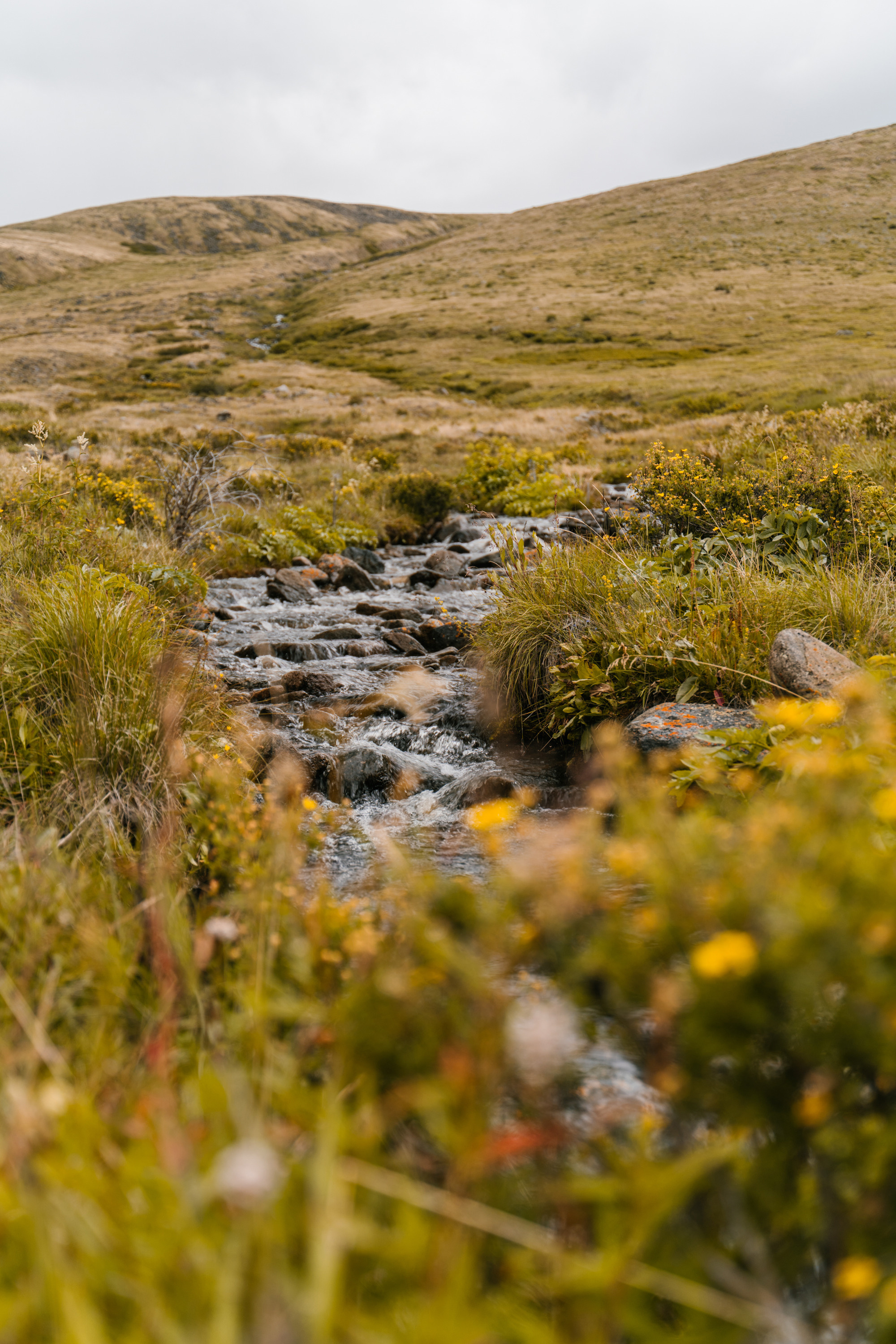 Мои путешествия. Фотограф в Санкт-Петербурге — Лучина Екатерина