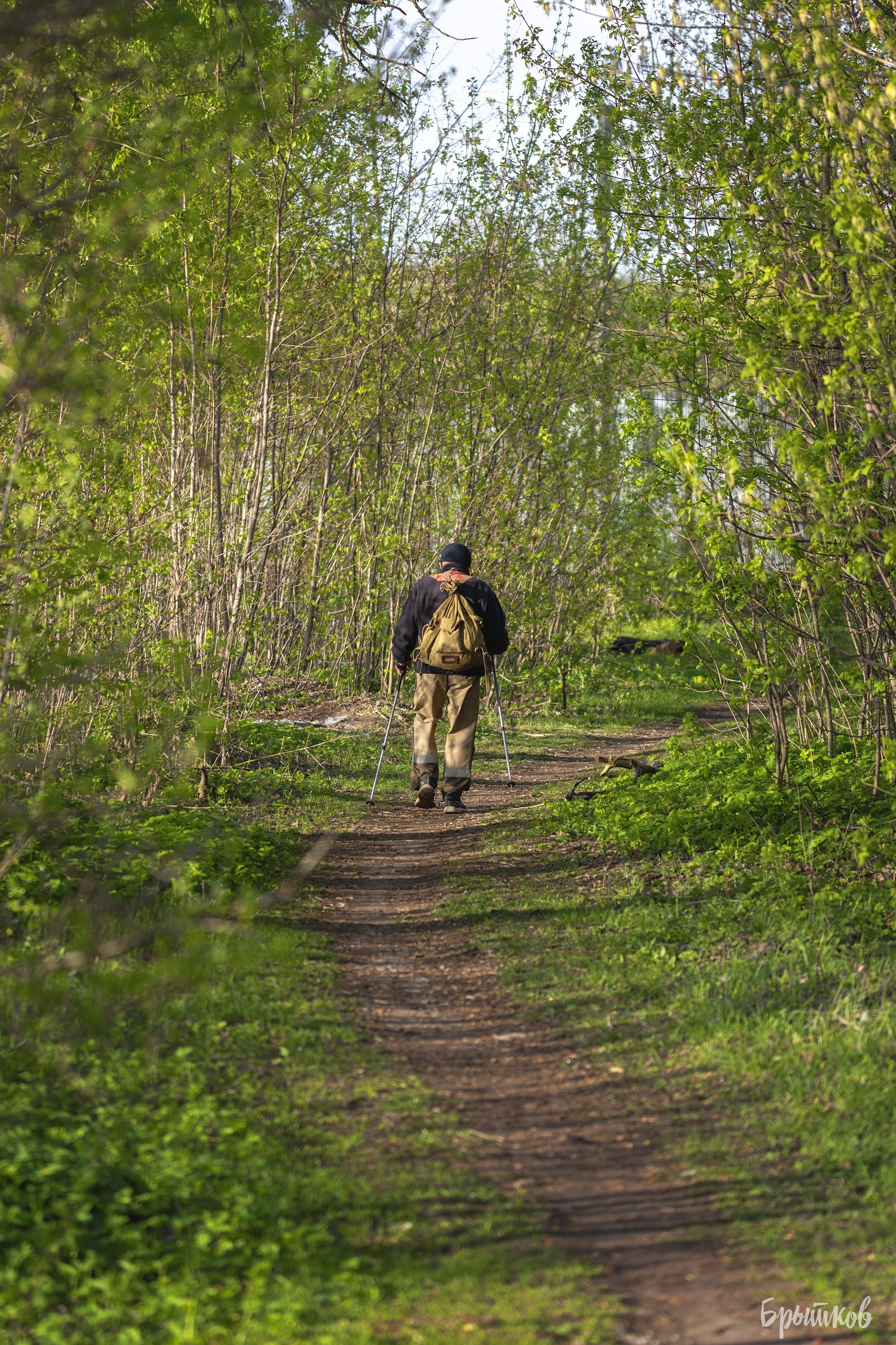 Дом Мосоловых в Дубне: удивительное рядом. Николай Брытков — фотограф в Туле