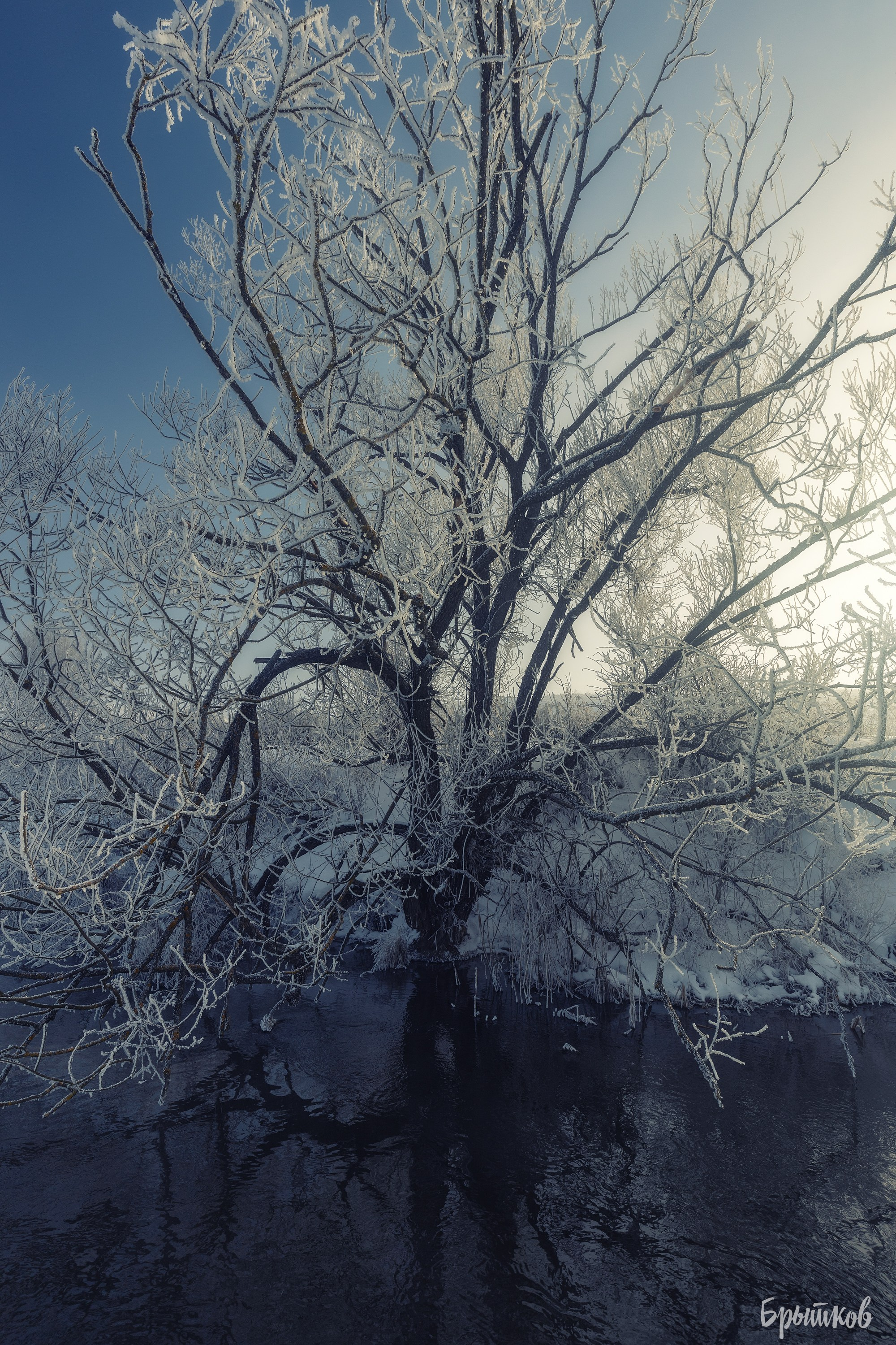 Туман над р. Деготня в районе д. Малая Кожуховка. Николай Брытков — фотограф в Туле