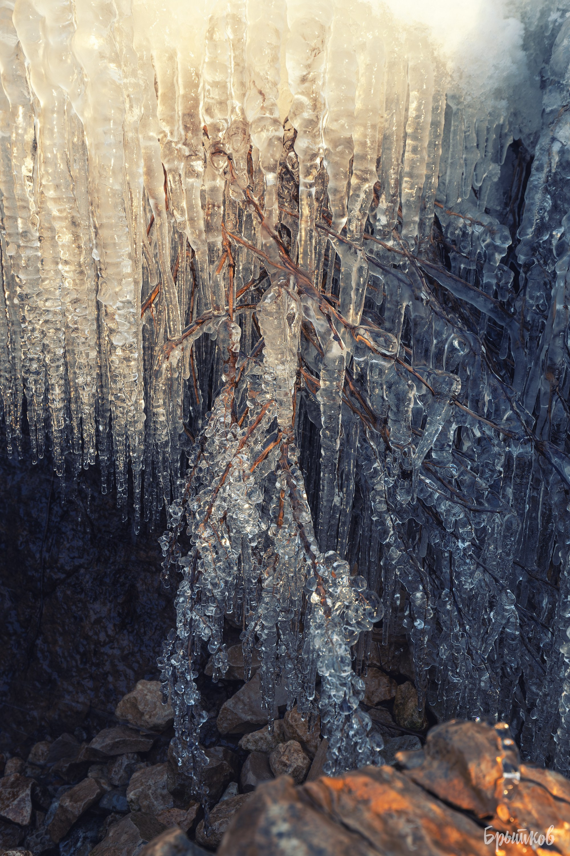 Туман над р. Деготня в районе д. Малая Кожуховка. Николай Брытков — фотограф в Туле