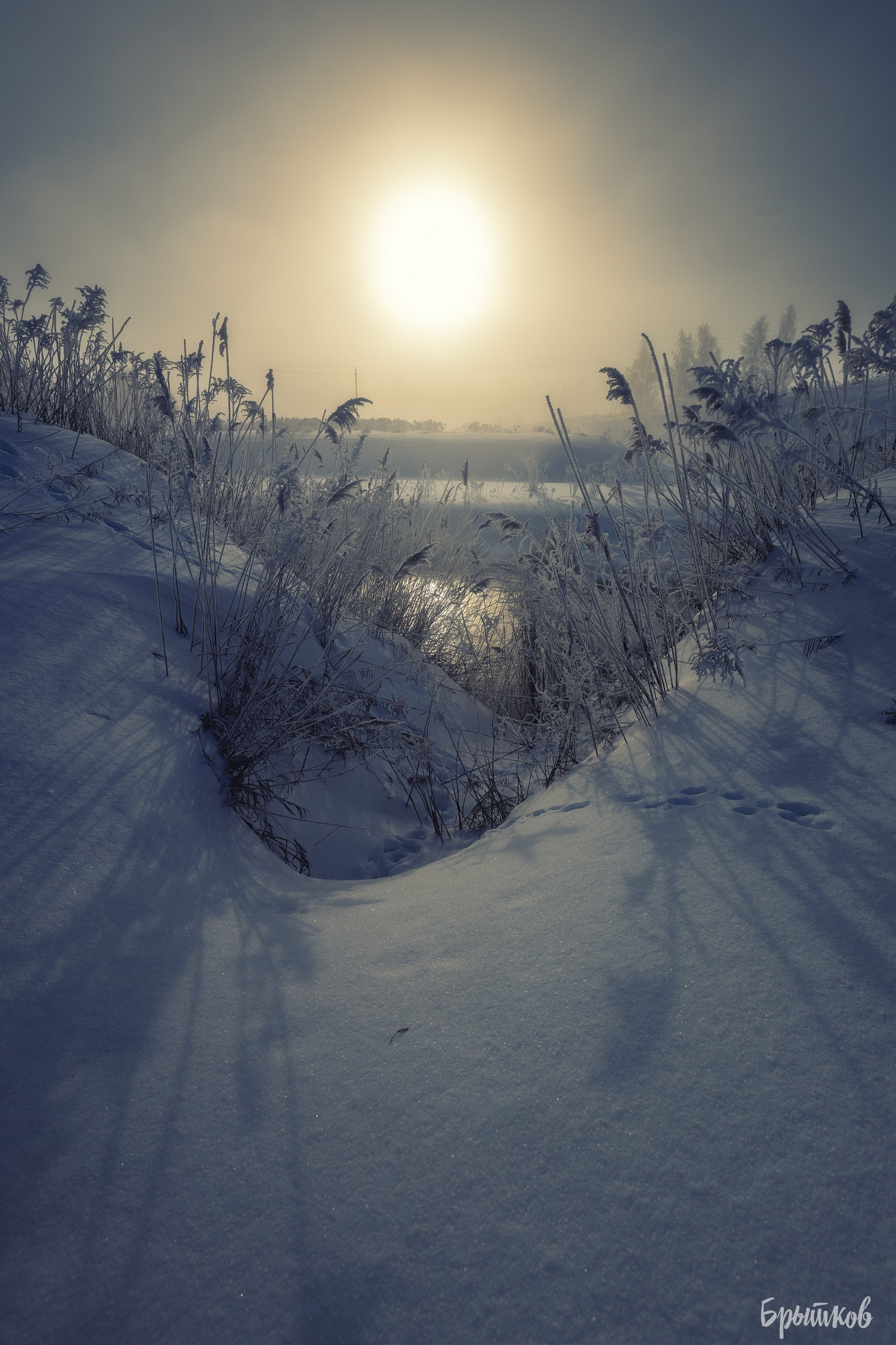 Туман над р. Деготня в районе д. Малая Кожуховка. Николай Брытков — фотограф в Туле