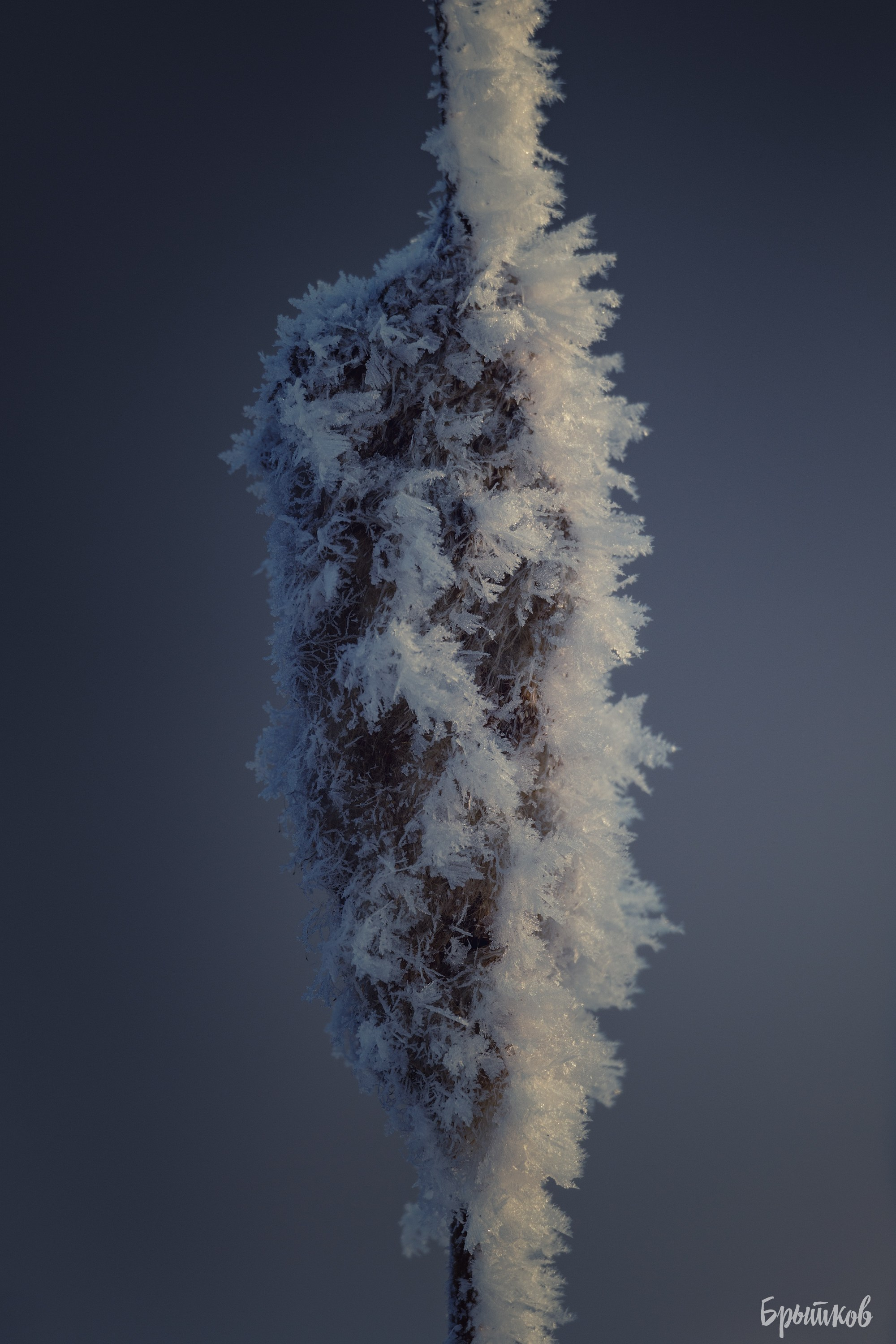 Горячка — хрустальное царство. Николай Брытков — фотограф в Туле